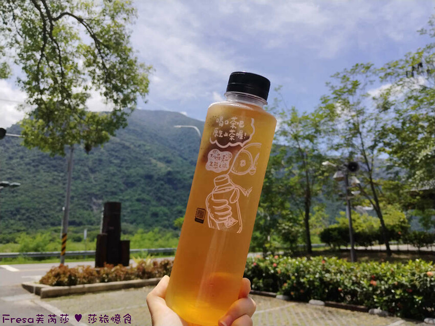 高雄市六龜區高雄旅遊│六龜荖濃溪遊憩旅行│騎乘電輔車吹風過隧道.豐富六龜生態地質│品茗原山茶│荖濃大武壠族文化體驗