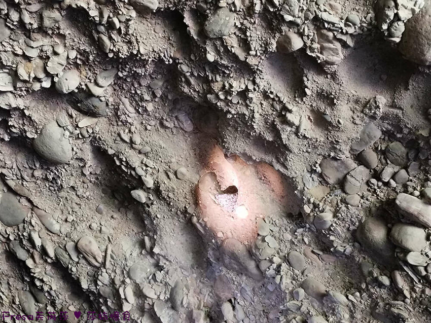 高雄市六龜區高雄旅遊│六龜荖濃溪遊憩旅行│騎乘電輔車吹風過隧道.豐富六龜生態地質│品茗原山茶│荖濃大武壠族文化體驗