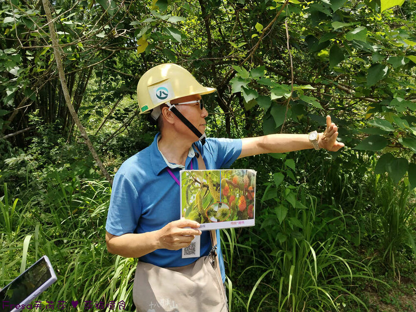 高雄市六龜區高雄旅遊│六龜荖濃溪遊憩旅行│騎乘電輔車吹風過隧道.豐富六龜生態地質│品茗原山茶│荖濃大武壠族文化體驗