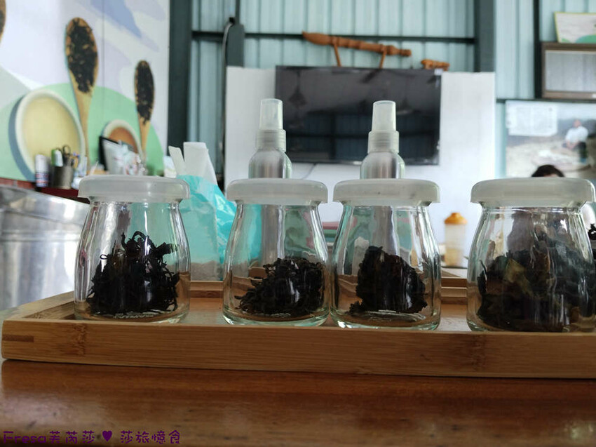 高雄市六龜區高雄旅遊│六龜荖濃溪遊憩旅行│騎乘電輔車吹風過隧道.豐富六龜生態地質│品茗原山茶│荖濃大武壠族文化體驗