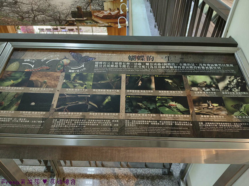 高雄市六龜區高雄旅遊│六龜荖濃溪遊憩旅行│騎乘電輔車吹風過隧道.豐富六龜生態地質│品茗原山茶│荖濃大武壠族文化體驗