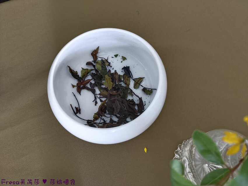 高雄市六龜區高雄旅遊│六龜荖濃溪遊憩旅行│騎乘電輔車吹風過隧道.豐富六龜生態地質│品茗原山茶│荖濃大武壠族文化體驗