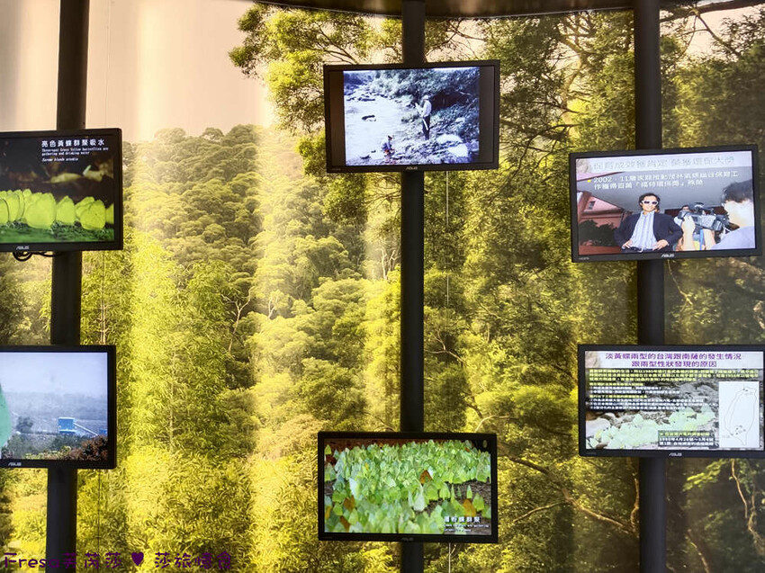 高雄市六龜區高雄旅遊│六龜荖濃溪遊憩旅行│騎乘電輔車吹風過隧道.豐富六龜生態地質│品茗原山茶│荖濃大武壠族文化體驗