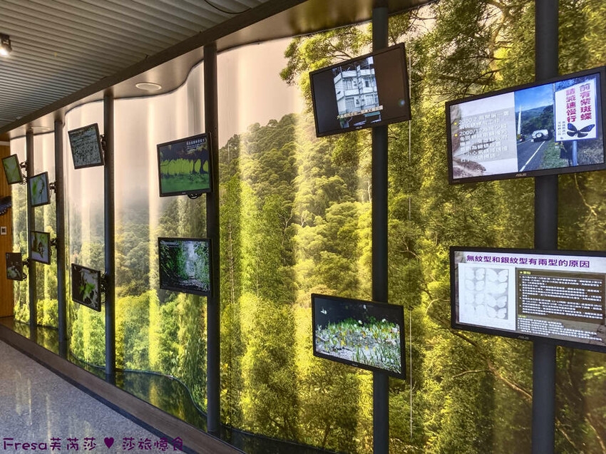 高雄市六龜區高雄旅遊│六龜荖濃溪遊憩旅行│騎乘電輔車吹風過隧道.豐富六龜生態地質│品茗原山茶│荖濃大武壠族文化體驗