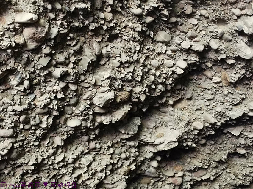 高雄市六龜區高雄旅遊│六龜荖濃溪遊憩旅行│騎乘電輔車吹風過隧道.豐富六龜生態地質│品茗原山茶│荖濃大武壠族文化體驗