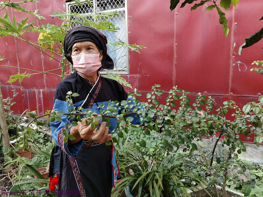 高雄市六龜區高雄旅遊│六龜荖濃溪遊憩旅行│騎乘電輔車吹風過隧道.豐富六龜生態地質│品茗原山茶│荖濃大武壠族文化體驗