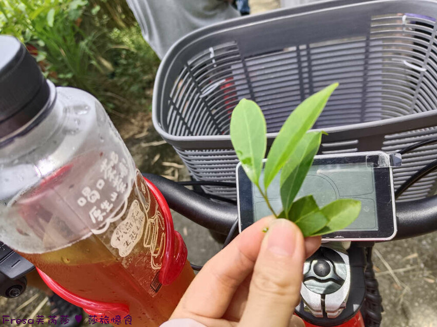 高雄市六龜區高雄旅遊│六龜荖濃溪遊憩旅行│騎乘電輔車吹風過隧道.豐富六龜生態地質│品茗原山茶│荖濃大武壠族文化體驗