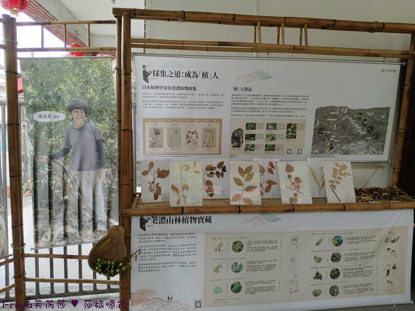 高雄市六龜區高雄旅遊│六龜荖濃溪遊憩旅行│騎乘電輔車吹風過隧道.豐富六龜生態地質│品茗原山茶│荖濃大武壠族文化體驗