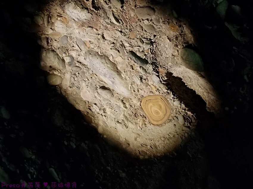 高雄市六龜區高雄旅遊│六龜荖濃溪遊憩旅行│騎乘電輔車吹風過隧道.豐富六龜生態地質│品茗原山茶│荖濃大武壠族文化體驗