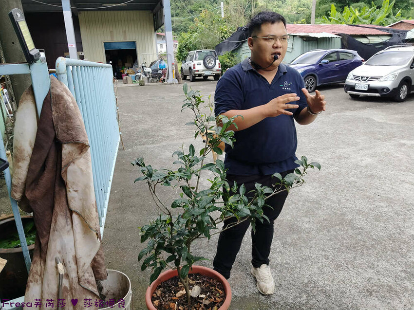 高雄市六龜區高雄旅遊│六龜荖濃溪遊憩旅行│騎乘電輔車吹風過隧道.豐富六龜生態地質│品茗原山茶│荖濃大武壠族文化體驗