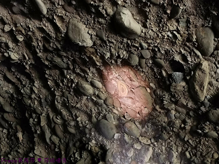 高雄市六龜區高雄旅遊│六龜荖濃溪遊憩旅行│騎乘電輔車吹風過隧道.豐富六龜生態地質│品茗原山茶│荖濃大武壠族文化體驗