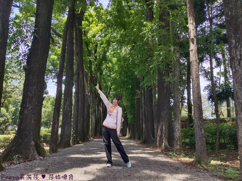 高雄市六龜區高雄旅遊│六龜荖濃溪遊憩旅行│騎乘電輔車吹風過隧道.豐富六龜生態地質│品茗原山茶│荖濃大武壠族文化體驗