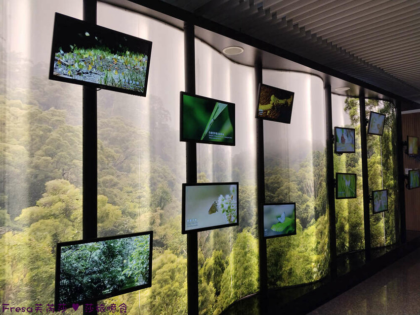 高雄市六龜區高雄旅遊│六龜荖濃溪遊憩旅行│騎乘電輔車吹風過隧道.豐富六龜生態地質│品茗原山茶│荖濃大武壠族文化體驗