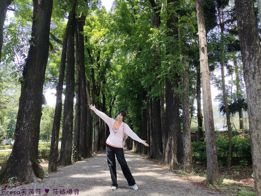 高雄市六龜區高雄旅遊│六龜荖濃溪遊憩旅行│騎乘電輔車吹風過隧道.豐富六龜生態地質│品茗原山茶│荖濃大武壠族文化體驗