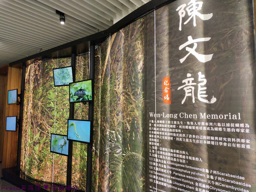 高雄市六龜區高雄旅遊│六龜荖濃溪遊憩旅行│騎乘電輔車吹風過隧道.豐富六龜生態地質│品茗原山茶│荖濃大武壠族文化體驗