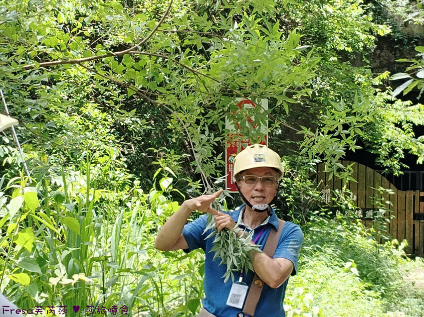 高雄市六龜區高雄旅遊│六龜荖濃溪遊憩旅行│騎乘電輔車吹風過隧道.豐富六龜生態地質│品茗原山茶│荖濃大武壠族文化體驗