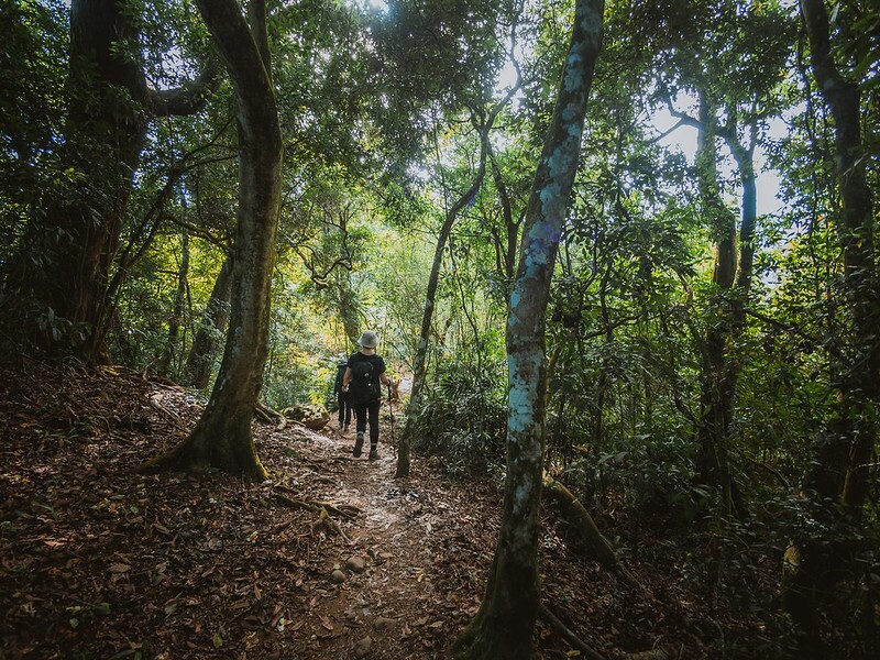 20221029|苗栗馬拉邦山|馬拉邦山登山步道x台灣小百岳x賞雲海、賞楓紅 20221029|苗栗馬拉邦山|馬拉邦山登山步道x台灣小百岳x賞雲海、賞楓紅