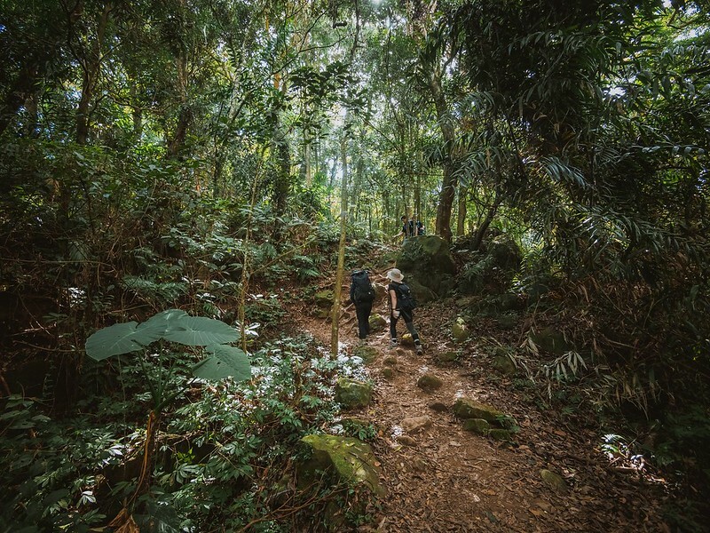 20221029|苗栗馬拉邦山|馬拉邦山登山步道x台灣小百岳x賞雲海、賞楓紅 20221029|苗栗馬拉邦山|馬拉邦山登山步道x台灣小百岳x賞雲海、賞楓紅