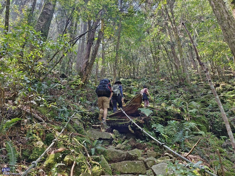 2024年,當然就是要登上海拔2024的橫嶺山呀!橫嶺山步道,超親民,難度僅2顆星 2024年,當然就是要登上海拔2024的橫嶺山呀!橫嶺山步道,超親民,難度僅2顆星