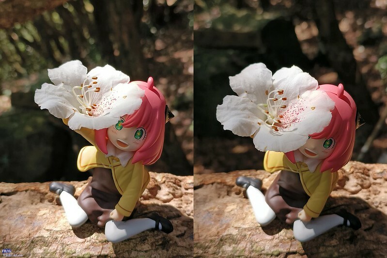 2024年,當然就是要登上海拔2024的橫嶺山呀!橫嶺山步道,超親民,難度僅2顆星 2024年,當然就是要登上海拔2024的橫嶺山呀!橫嶺山步道,超親民,難度僅2顆星