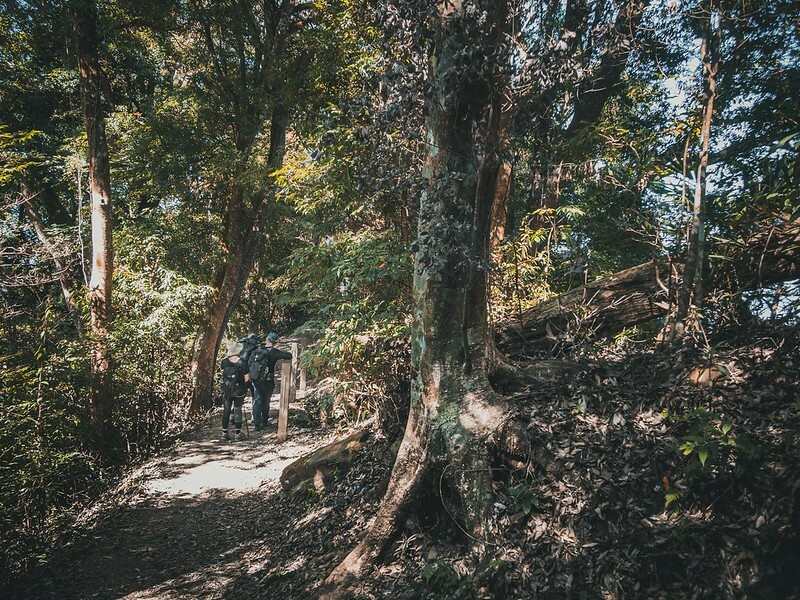 20221029|苗栗馬拉邦山|馬拉邦山登山步道x台灣小百岳x賞雲海、賞楓紅 20221029|苗栗馬拉邦山|馬拉邦山登山步道x台灣小百岳x賞雲海、賞楓紅