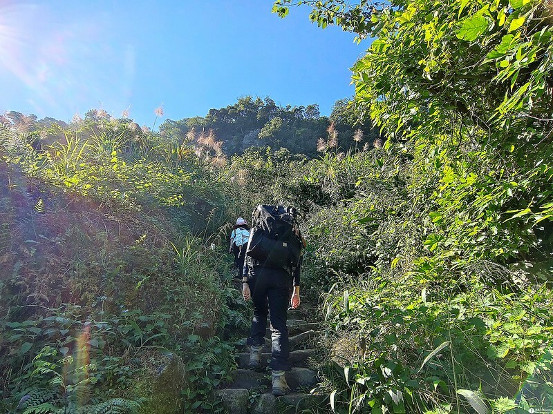 20221029|苗栗馬拉邦山|馬拉邦山登山步道x台灣小百岳x賞雲海、賞楓紅 20221029|苗栗馬拉邦山|馬拉邦山登山步道x台灣小百岳x賞雲海、賞楓紅