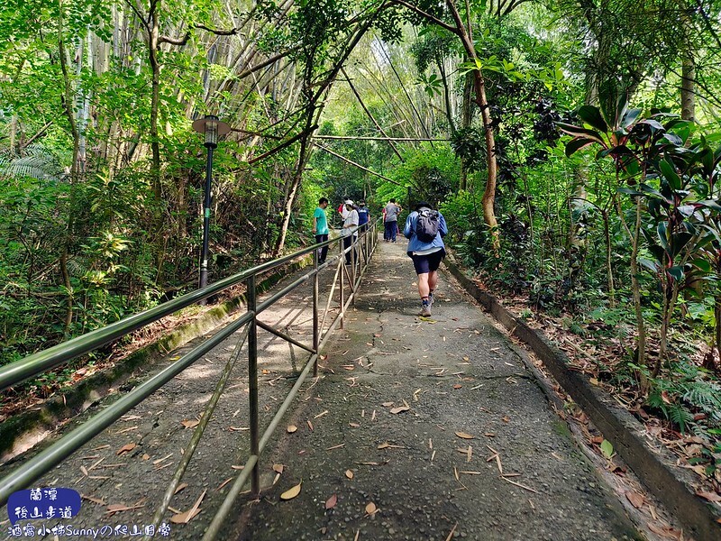蘭潭後山步道、紅毛埤山