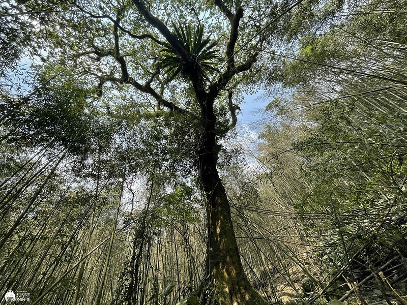 2021-03-31 12.58.58(1617596461.863655)