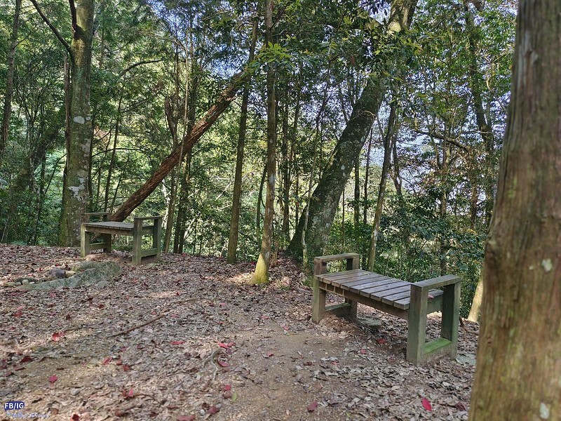 2024年,當然就是要登上海拔2024的橫嶺山呀!橫嶺山步道,超親民,難度僅2顆星 2024年,當然就是要登上海拔2024的橫嶺山呀!橫嶺山步道,超親民,難度僅2顆星