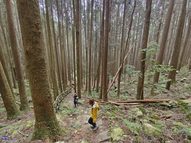 2024年,當然就是要登上海拔2024的橫嶺山呀!橫嶺山步道,超親民,難度僅2顆星 2024年,當然就是要登上海拔2024的橫嶺山呀!橫嶺山步道,超親民,難度僅2顆星