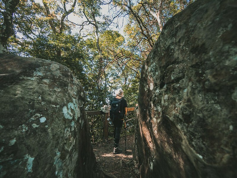 20221029|苗栗馬拉邦山|馬拉邦山登山步道x台灣小百岳x賞雲海、賞楓紅 20221029|苗栗馬拉邦山|馬拉邦山登山步道x台灣小百岳x賞雲海、賞楓紅