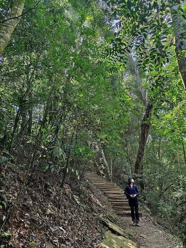 20221029|苗栗馬拉邦山|馬拉邦山登山步道x台灣小百岳x賞雲海、賞楓紅 20221029|苗栗馬拉邦山|馬拉邦山登山步道x台灣小百岳x賞雲海、賞楓紅