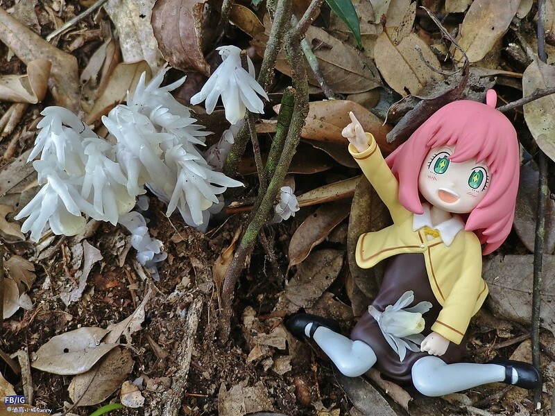 2024年,當然就是要登上海拔2024的橫嶺山呀!橫嶺山步道,超親民,難度僅2顆星 2024年,當然就是要登上海拔2024的橫嶺山呀!橫嶺山步道,超親民,難度僅2顆星