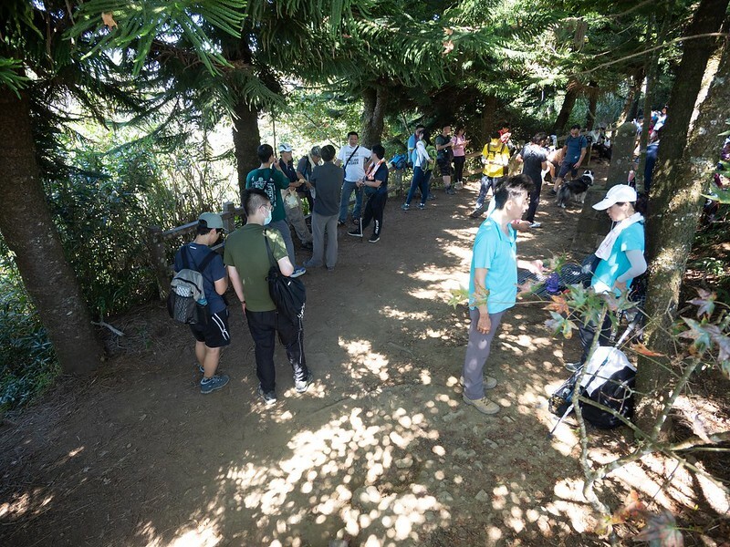20221029|苗栗馬拉邦山|馬拉邦山登山步道x台灣小百岳x賞雲海、賞楓紅 20221029|苗栗馬拉邦山|馬拉邦山登山步道x台灣小百岳x賞雲海、賞楓紅