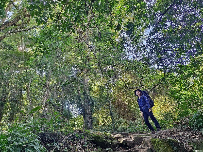 20221029|苗栗馬拉邦山|馬拉邦山登山步道x台灣小百岳x賞雲海、賞楓紅 20221029|苗栗馬拉邦山|馬拉邦山登山步道x台灣小百岳x賞雲海、賞楓紅