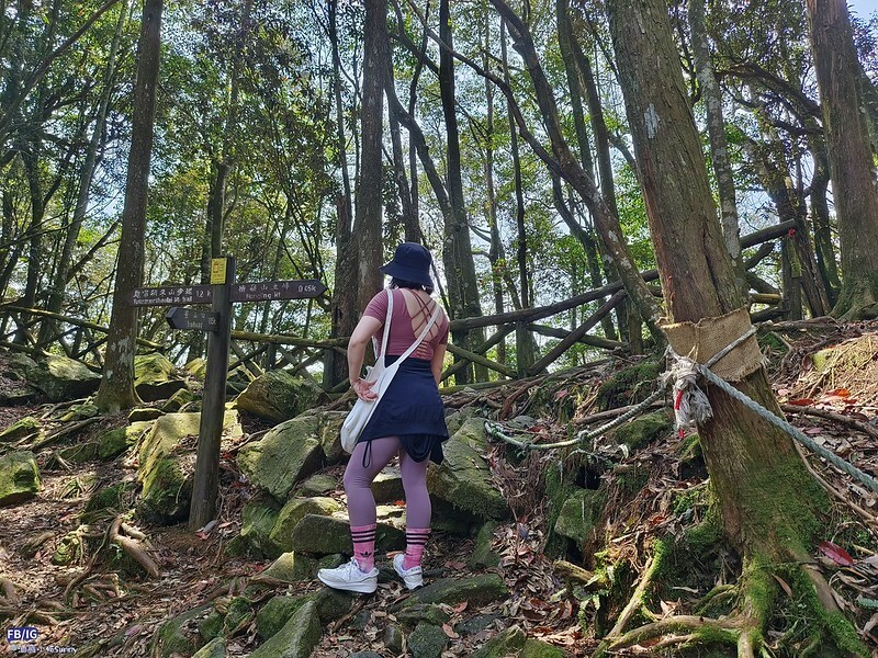 2024年,當然就是要登上海拔2024的橫嶺山呀!橫嶺山步道,超親民,難度僅2顆星 2024年,當然就是要登上海拔2024的橫嶺山呀!橫嶺山步道,超親民,難度僅2顆星