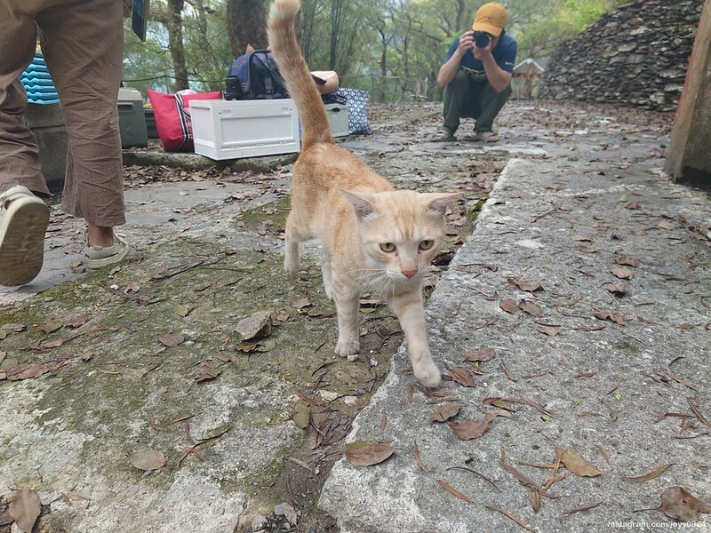 野營中|2023513神山露營 photo by instagram.com/joyy0924