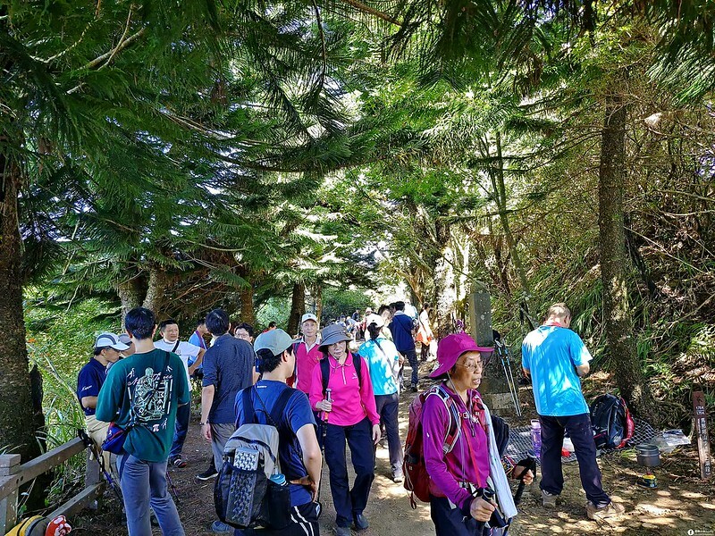 20221029|苗栗馬拉邦山|馬拉邦山登山步道x台灣小百岳x賞雲海、賞楓紅 20221029|苗栗馬拉邦山|馬拉邦山登山步道x台灣小百岳x賞雲海、賞楓紅