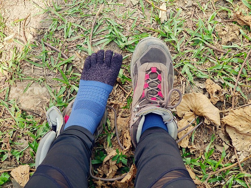 20221112 台中大坑4號步道