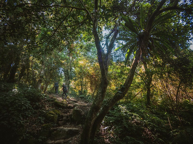 20221029|苗栗馬拉邦山|馬拉邦山登山步道x台灣小百岳x賞雲海、賞楓紅 20221029|苗栗馬拉邦山|馬拉邦山登山步道x台灣小百岳x賞雲海、賞楓紅