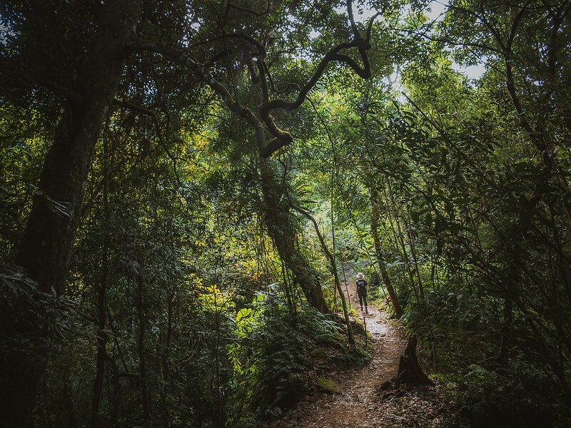 20221029|苗栗馬拉邦山|馬拉邦山登山步道x台灣小百岳x賞雲海、賞楓紅 20221029|苗栗馬拉邦山|馬拉邦山登山步道x台灣小百岳x賞雲海、賞楓紅