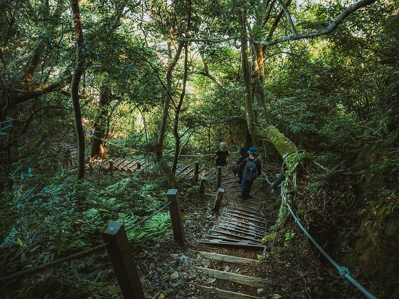 20221029|苗栗馬拉邦山|馬拉邦山登山步道x台灣小百岳x賞雲海、賞楓紅 20221029|苗栗馬拉邦山|馬拉邦山登山步道x台灣小百岳x賞雲海、賞楓紅
