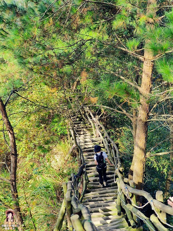 20221112 台中大坑4號步道