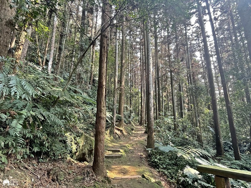 2021-03-31 14.48.04(1617596503.940970)