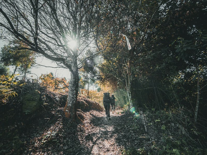 20221029|苗栗馬拉邦山|馬拉邦山登山步道x台灣小百岳x賞雲海、賞楓紅 20221029|苗栗馬拉邦山|馬拉邦山登山步道x台灣小百岳x賞雲海、賞楓紅