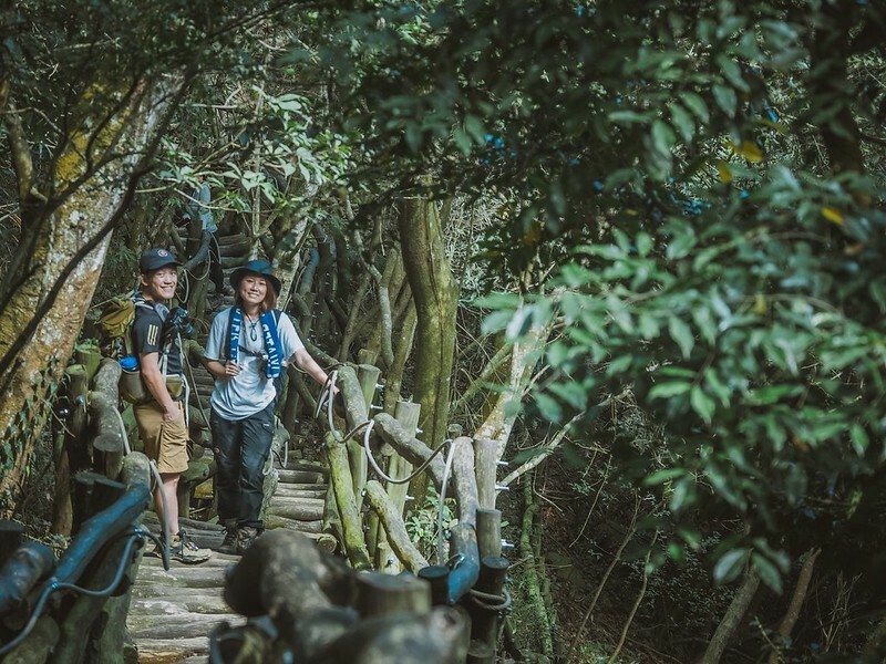 20221112 台中大坑4號步道