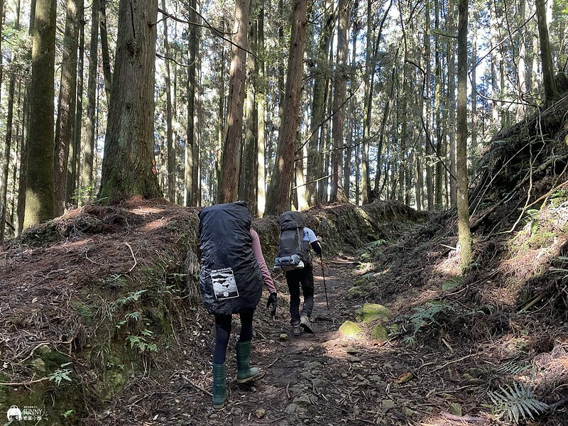 2021-11-14 11.55.29(1637066834.805137)