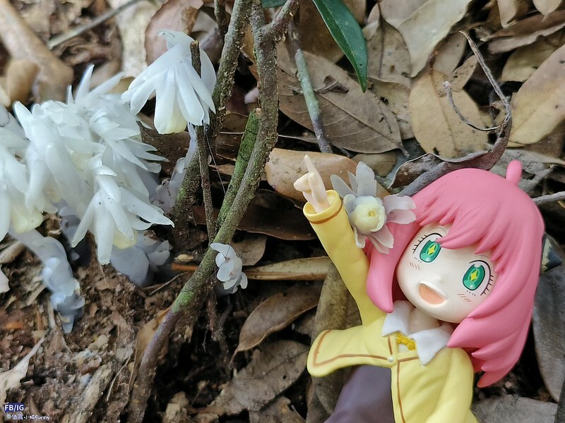 2024年,當然就是要登上海拔2024的橫嶺山呀!橫嶺山步道,超親民,難度僅2顆星 2024年,當然就是要登上海拔2024的橫嶺山呀!橫嶺山步道,超親民,難度僅2顆星