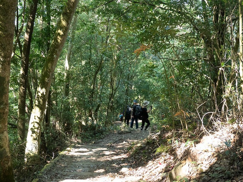 20221029|苗栗馬拉邦山|馬拉邦山登山步道x台灣小百岳x賞雲海、賞楓紅 20221029|苗栗馬拉邦山|馬拉邦山登山步道x台灣小百岳x賞雲海、賞楓紅