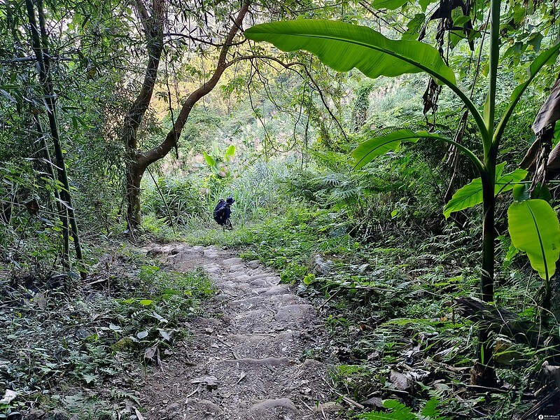 20221029|苗栗馬拉邦山|馬拉邦山登山步道x台灣小百岳x賞雲海、賞楓紅 20221029|苗栗馬拉邦山|馬拉邦山登山步道x台灣小百岳x賞雲海、賞楓紅